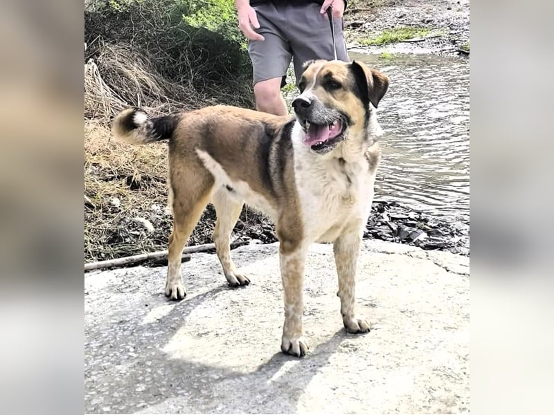 GOLFO möchte dein Leben bereichern