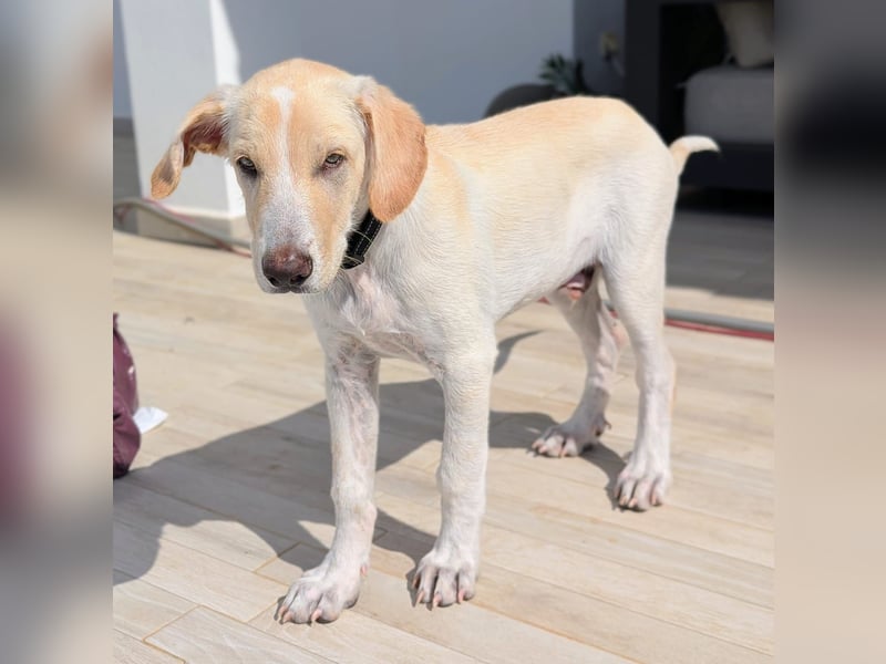 Neo wartet auf seine Familie Neo wartet auf seine Familie