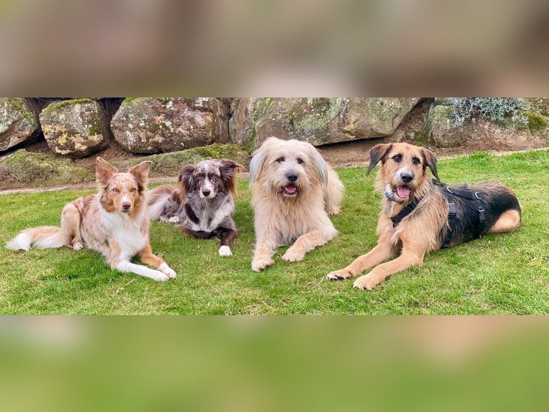 Mac ein perfekter Begleiter für´s Leben