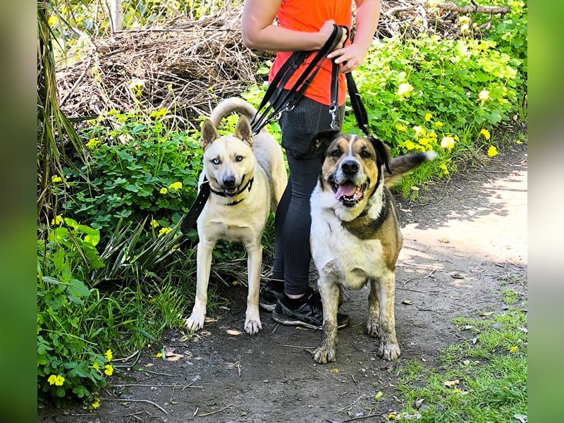 GOLFO möchte dein Leben bereichern