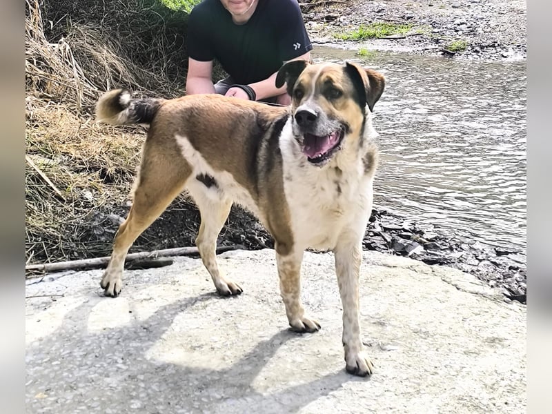 GOLFO möchte dein Leben bereichern