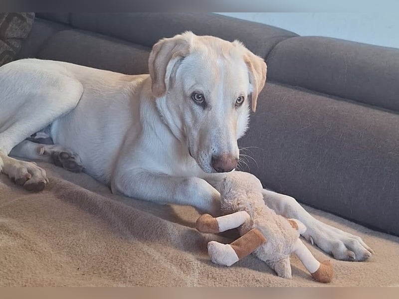 Neo wartet auf seine Familie