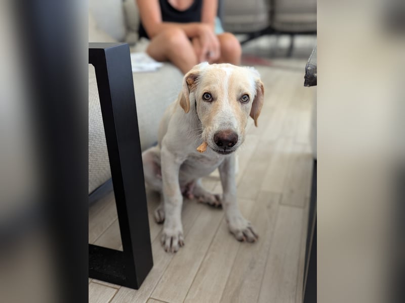 Neo wartet auf seine Familie Neo wartet auf seine Familie