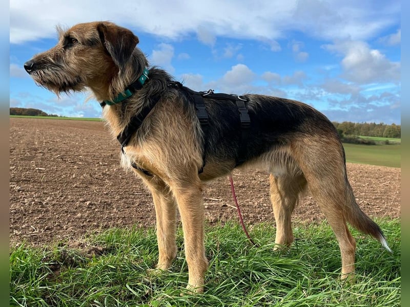 Mac ein perfekter Begleiter für´s Leben