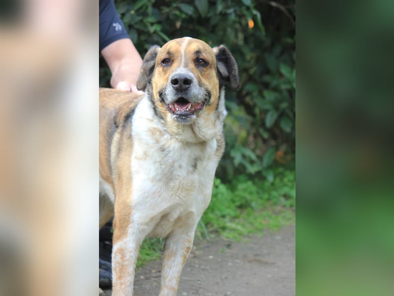 GOLFO möchte dein Leben bereichern