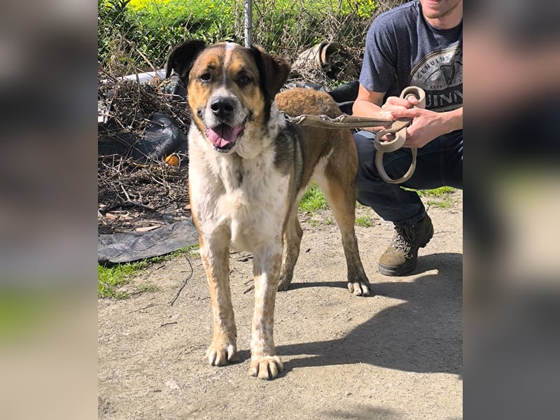 GOLFO möchte dein Leben bereichern