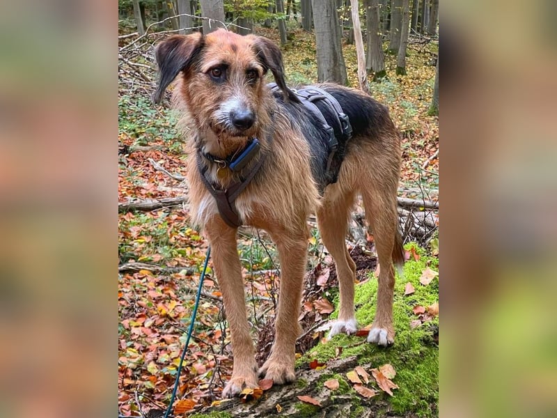 Mac ein perfekter Begleiter für´s Leben