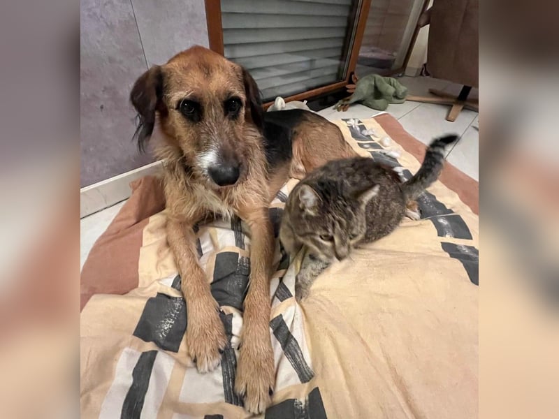 Mac ein perfekter Begleiter für´s Leben