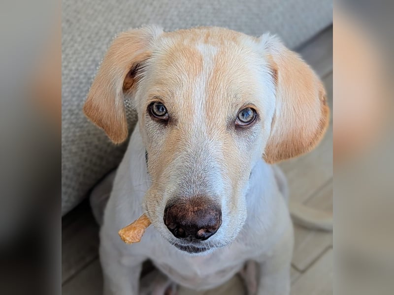 Neo wartet auf seine Familie Neo wartet auf seine Familie