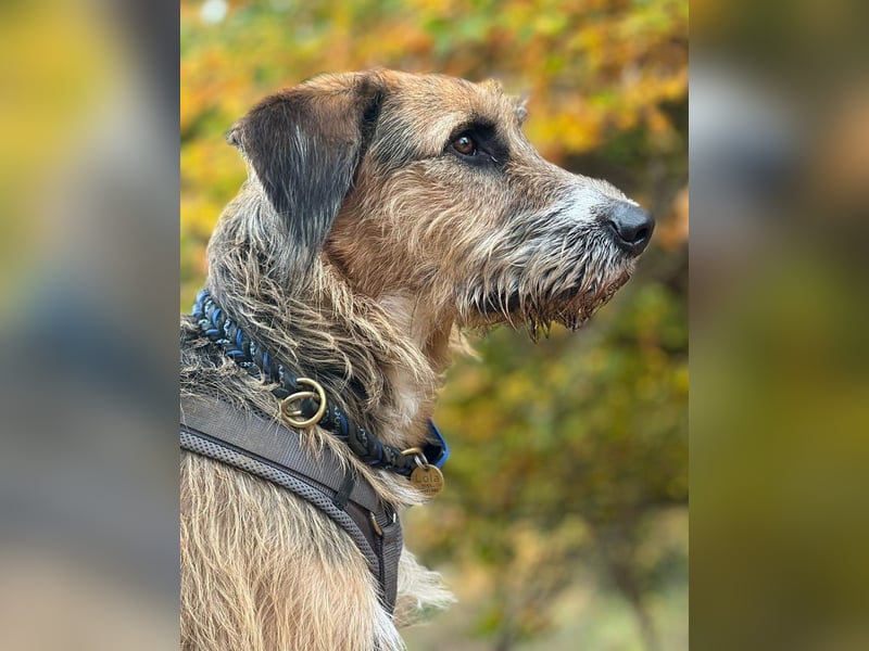 Mac ein perfekter Begleiter für´s Leben