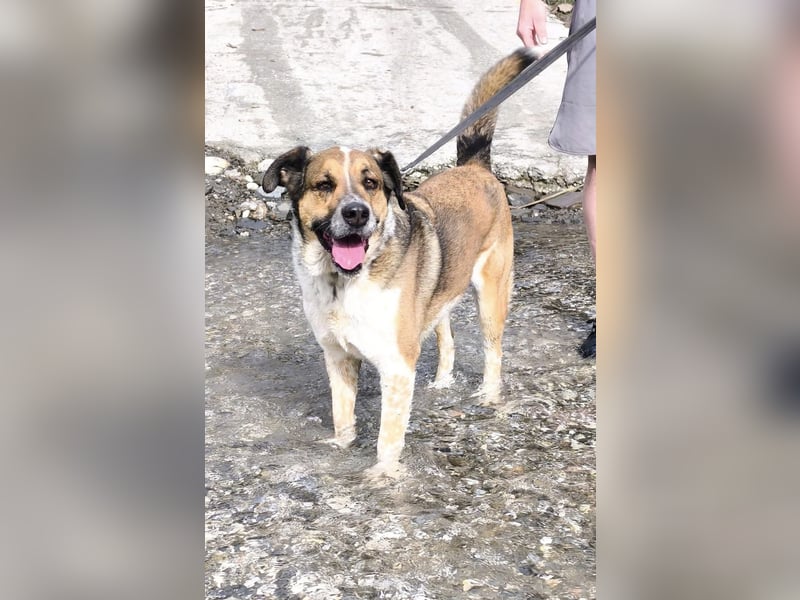 GOLFO möchte dein Leben bereichern