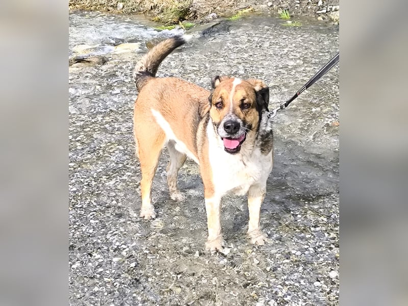 GOLFO möchte dein Leben bereichern