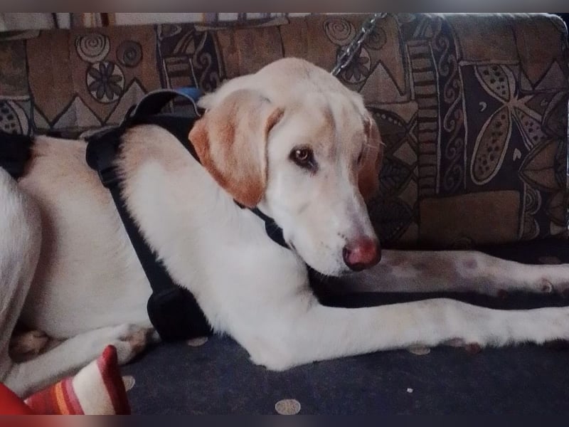 Neo wartet auf seine Familie