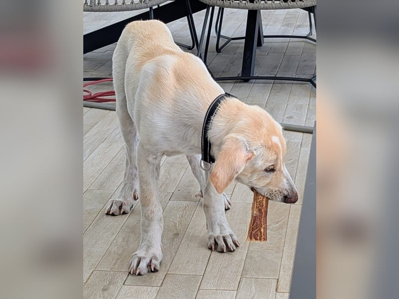 Neo wartet auf seine Familie Neo wartet auf seine Familie