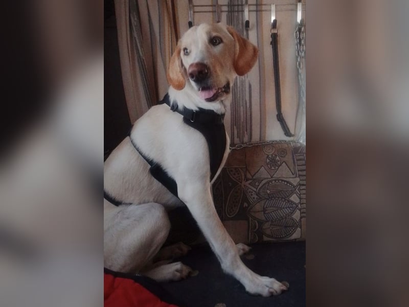 Neo wartet auf seine Familie