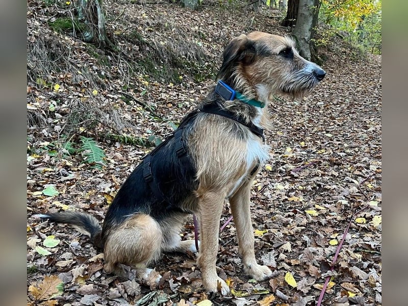 Mac ein perfekter Begleiter für´s Leben