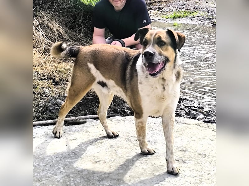 GOLFO möchte dein Leben bereichern