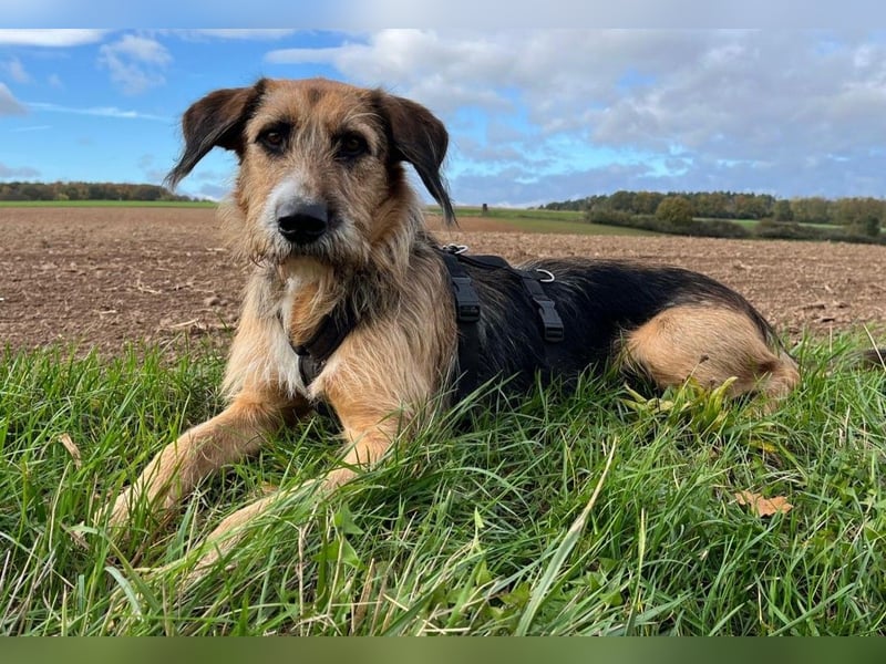 Mac ein perfekter Begleiter für´s Leben