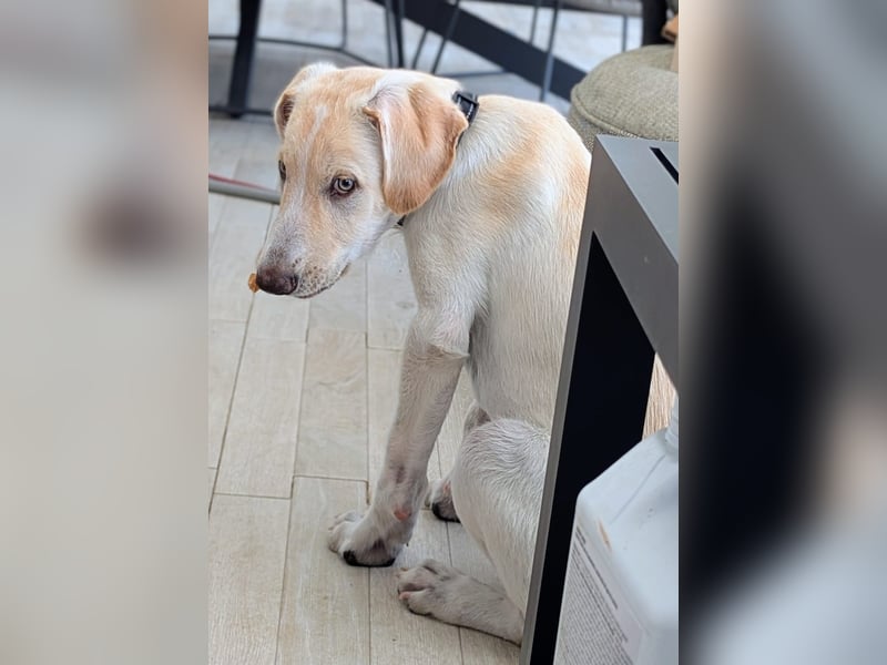 Neo wartet auf seine Familie Neo wartet auf seine Familie