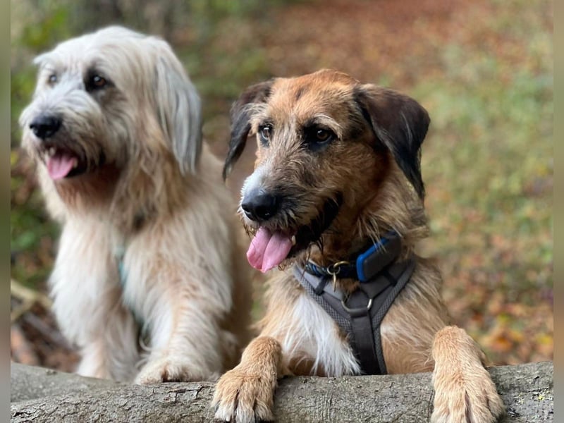 Mac ein perfekter Begleiter für´s Leben