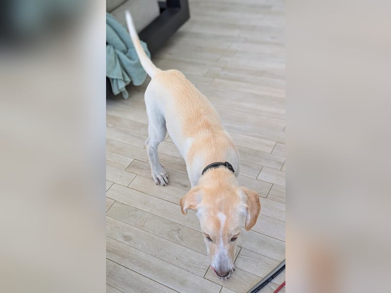 Neo wartet auf seine Familie Neo wartet auf seine Familie