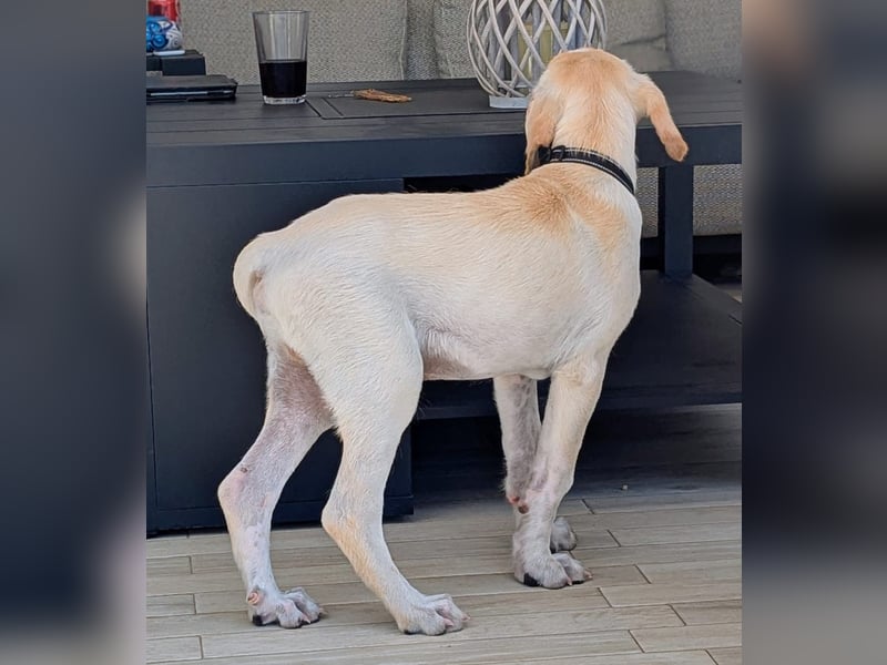 Neo wartet auf seine Familie Neo wartet auf seine Familie