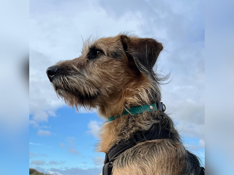 Mac ein perfekter Begleiter für´s Leben