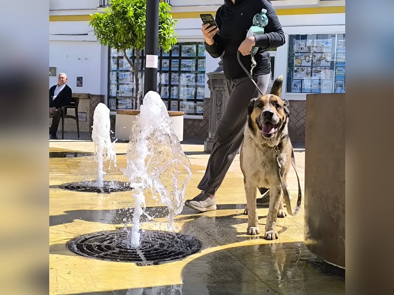 GOLFO möchte dein Leben bereichern