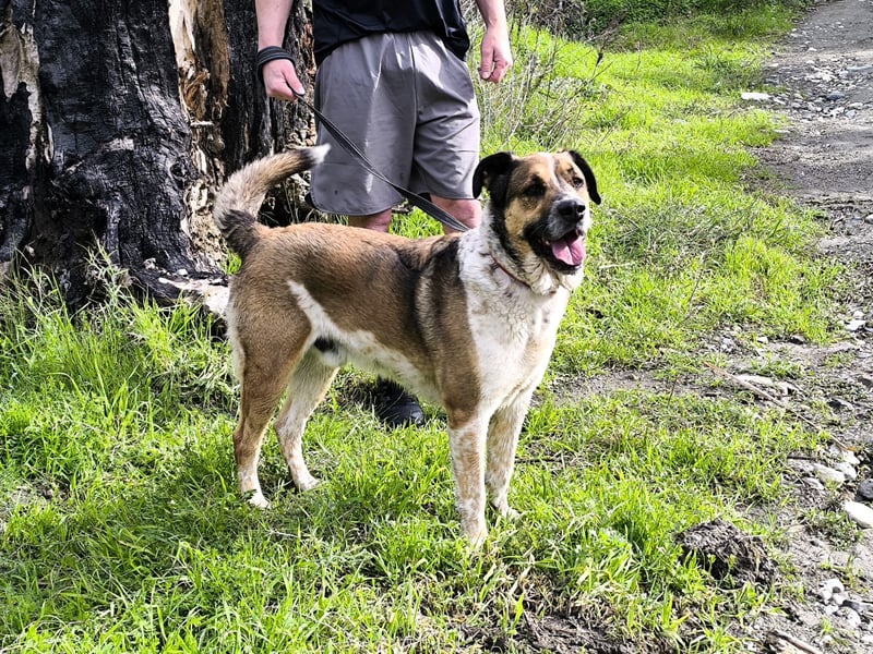GOLFO möchte dein Leben bereichern