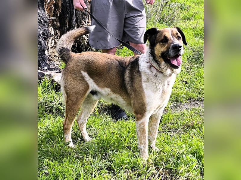 GOLFO möchte dein Leben bereichern