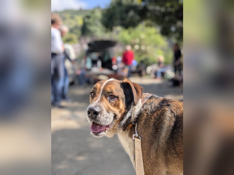 GOLFO möchte dein Leben bereichern