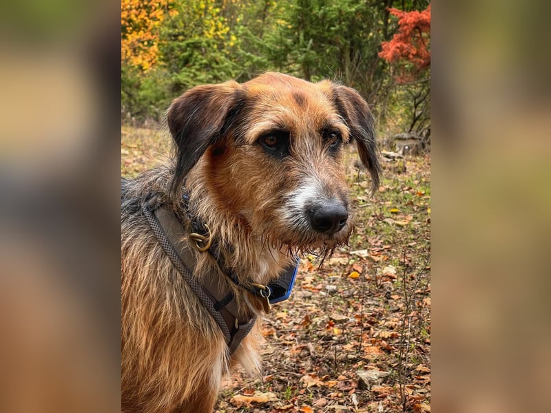 Mac ein perfekter Begleiter für´s Leben