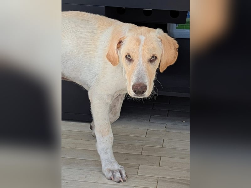 Neo wartet auf seine Familie Neo wartet auf seine Familie