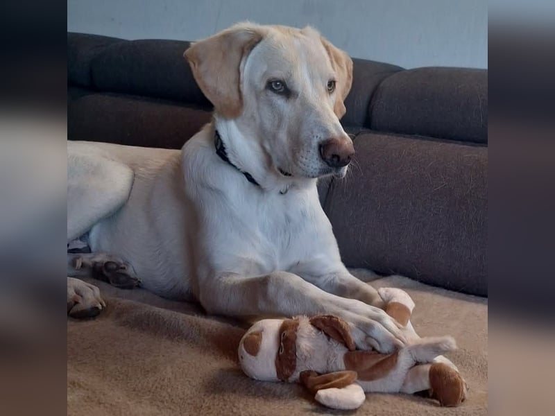 Neo wartet auf seine Familie