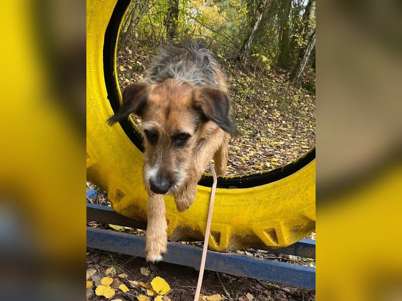 Mac ein perfekter Begleiter für´s Leben