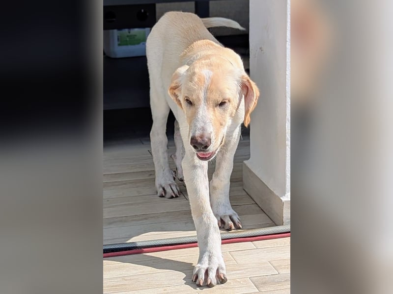 Neo wartet auf seine Familie Neo wartet auf seine Familie