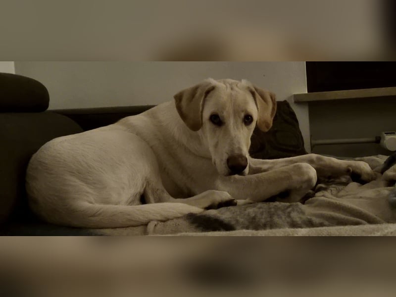 Neo wartet auf seine Familie