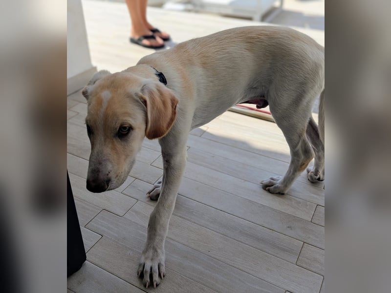 Neo wartet auf seine Familie Neo wartet auf seine Familie