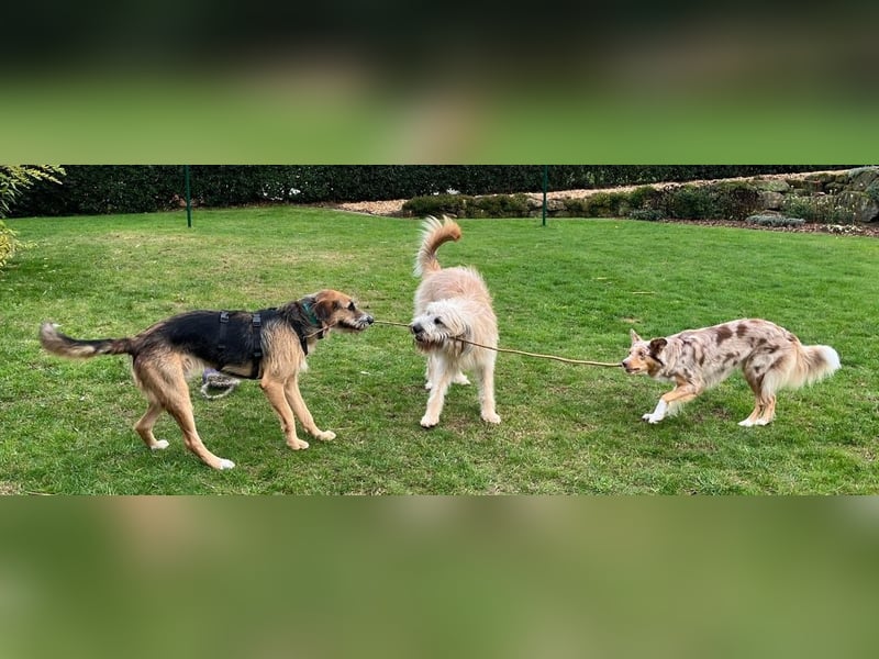 Mac ein perfekter Begleiter für´s Leben