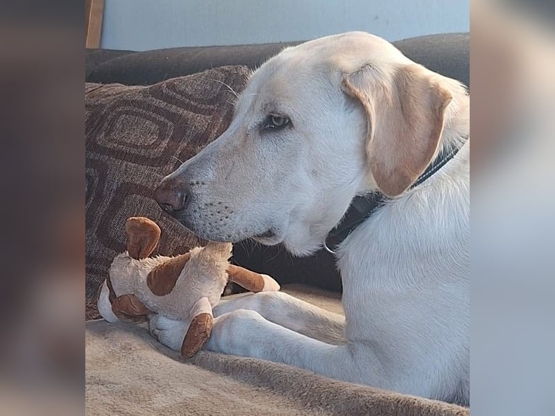 NEO wartet auf seine Familie