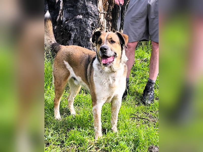GOLFO möchte dein Leben bereichern