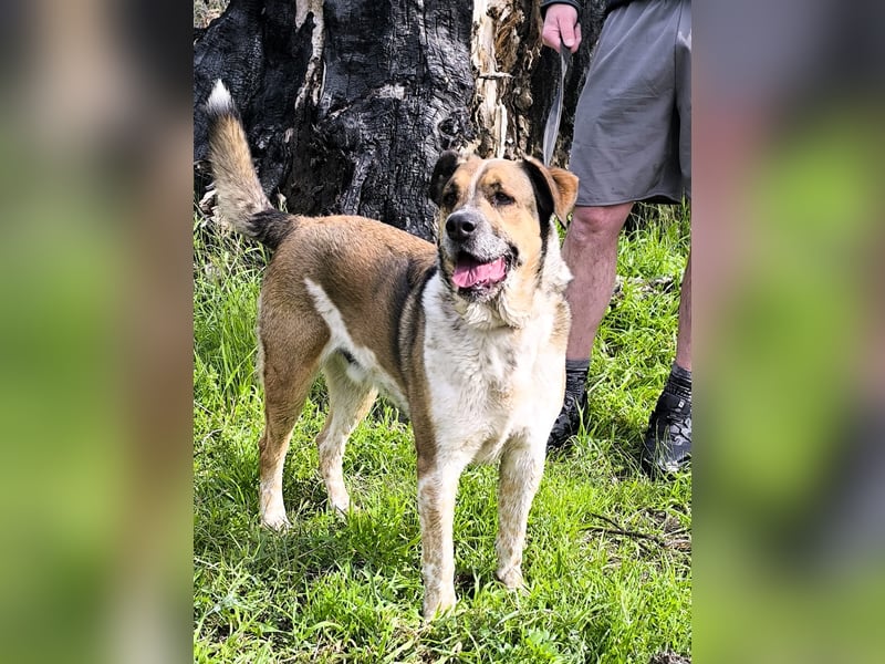 GOLFO möchte dein Leben bereichern