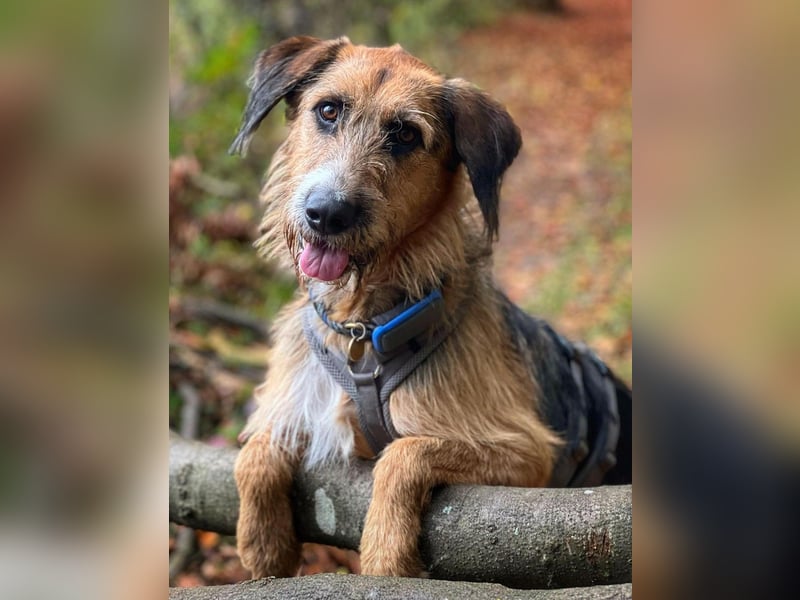 Mac ein perfekter Begleiter für´s Leben