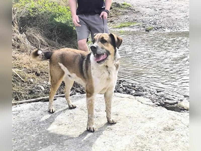GOLFO möchte dein Leben bereichern