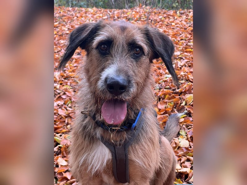 Mac ein perfekter Begleiter für´s Leben