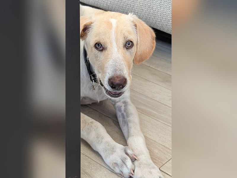 Neo wartet auf seine Familie Neo wartet auf seine Familie