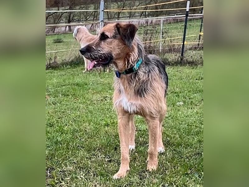 Mac ein perfekter Begleiter für´s Leben