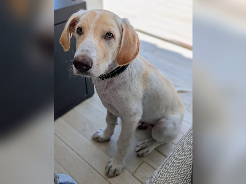 Neo wartet auf seine Familie Neo wartet auf seine Familie