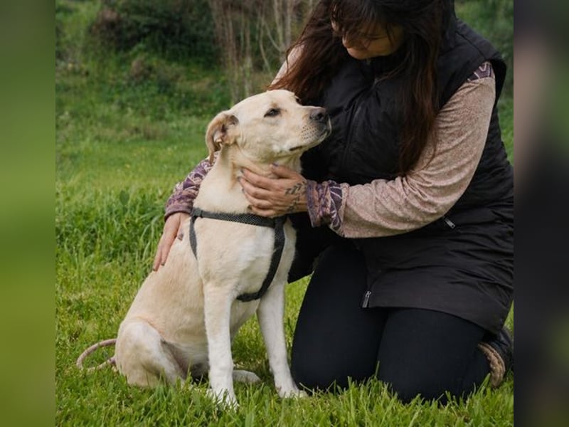 Ronaldo – ein junger Sunnyboy