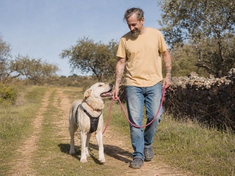 Doya – ein großer Schatz